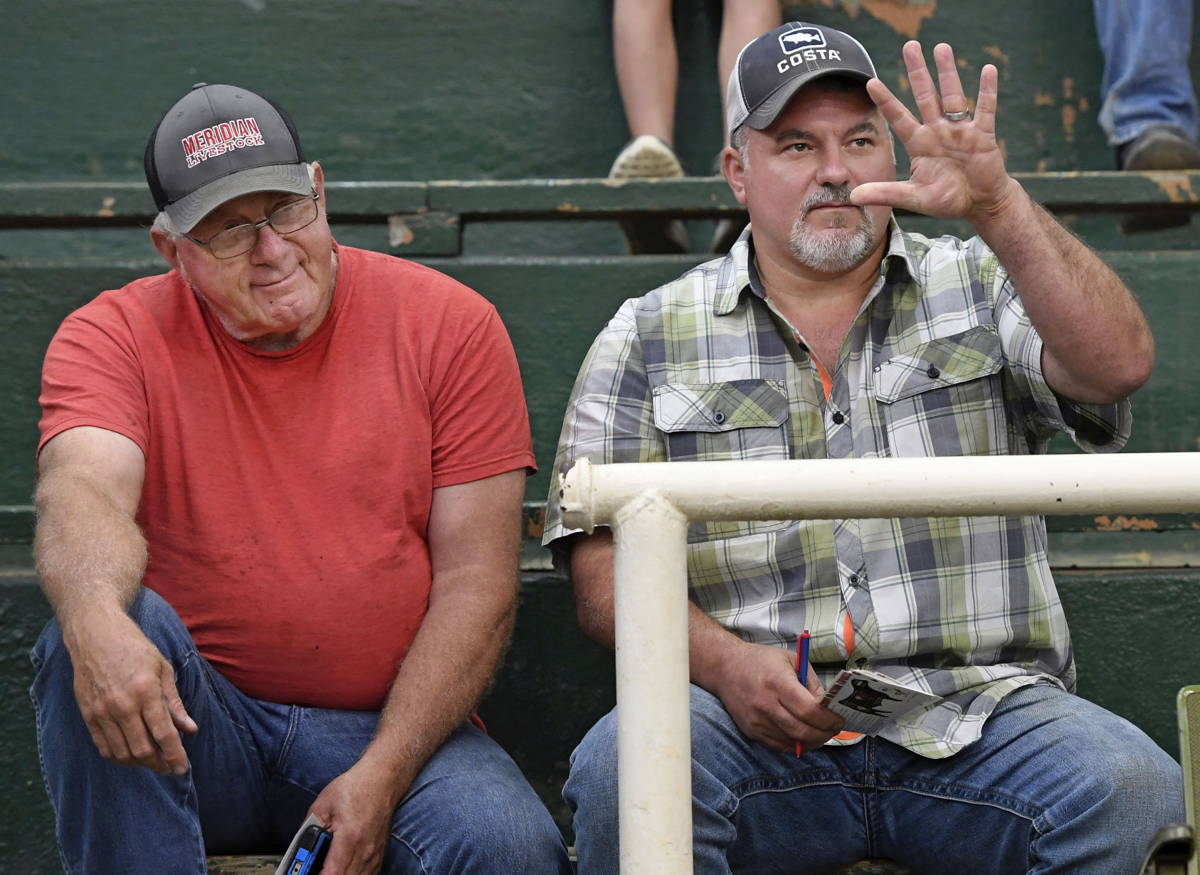 BR.wildstockyard0064.adv bf.jpg